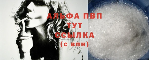 гидра Абаза
