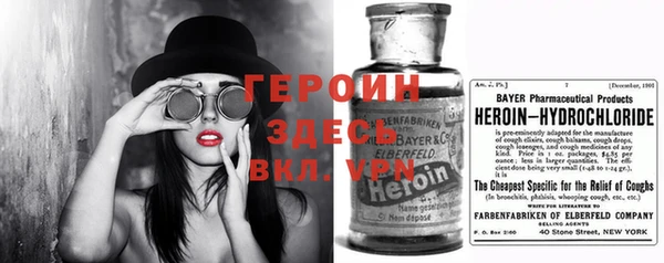 индика Болхов