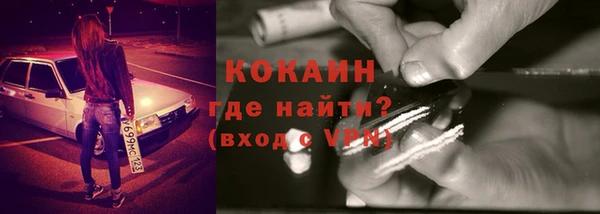 гидра Абаза