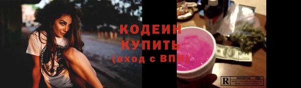 гидра Абаза