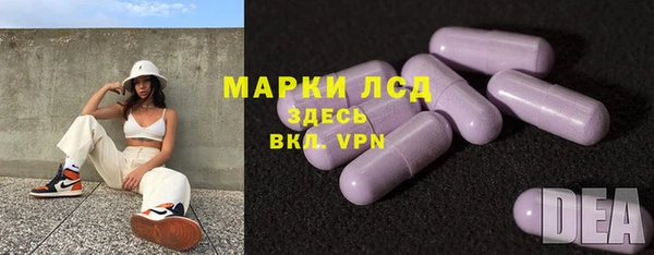 гидра Абаза