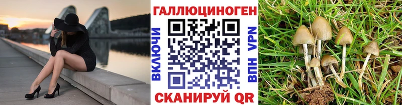 Псилоцибиновые грибы Psilocybine cubensis  блэк спрут как войти  Гаврилов Посад 